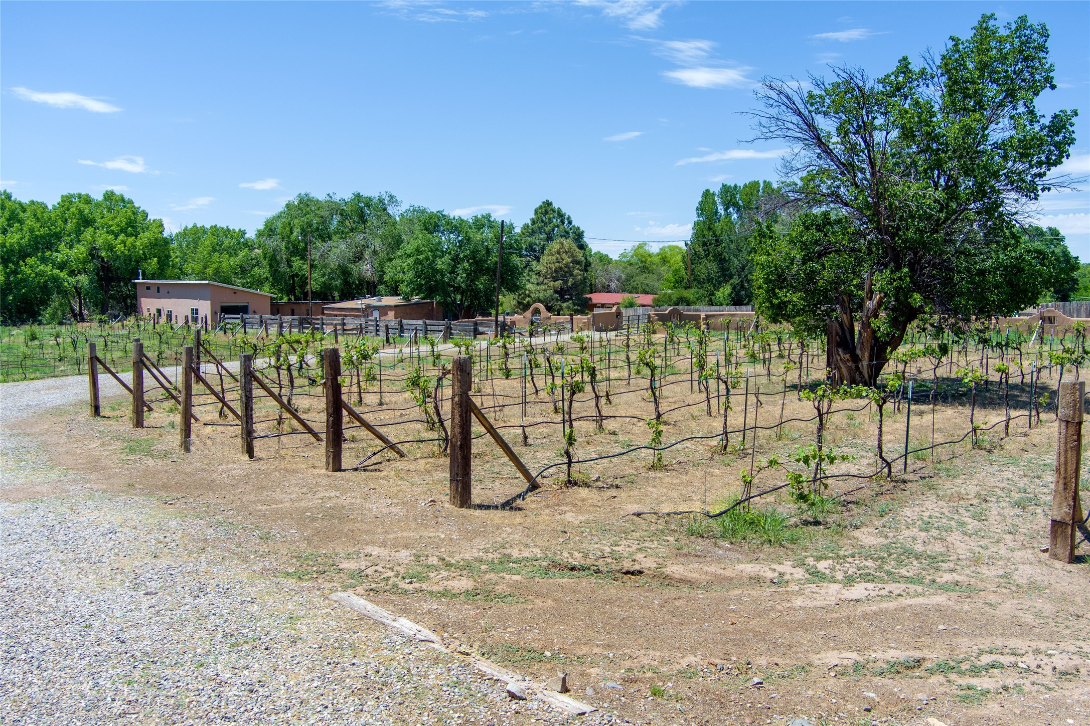 442 Los Pinos Road Santa Fe, NM 87507 - Photo 26 of 70
