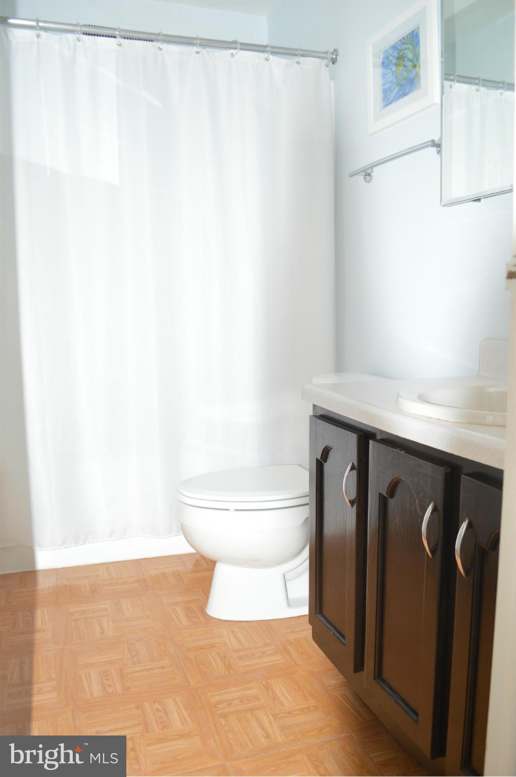 1653 Valencia Way Reston, VA 20190 - Photo 11 of 17 Bath (Master)