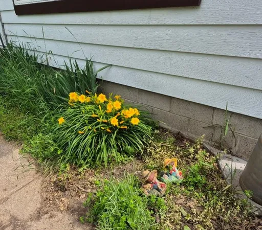 $320,000 | 115 Keiper Drive, Minnesota City, MN 55959