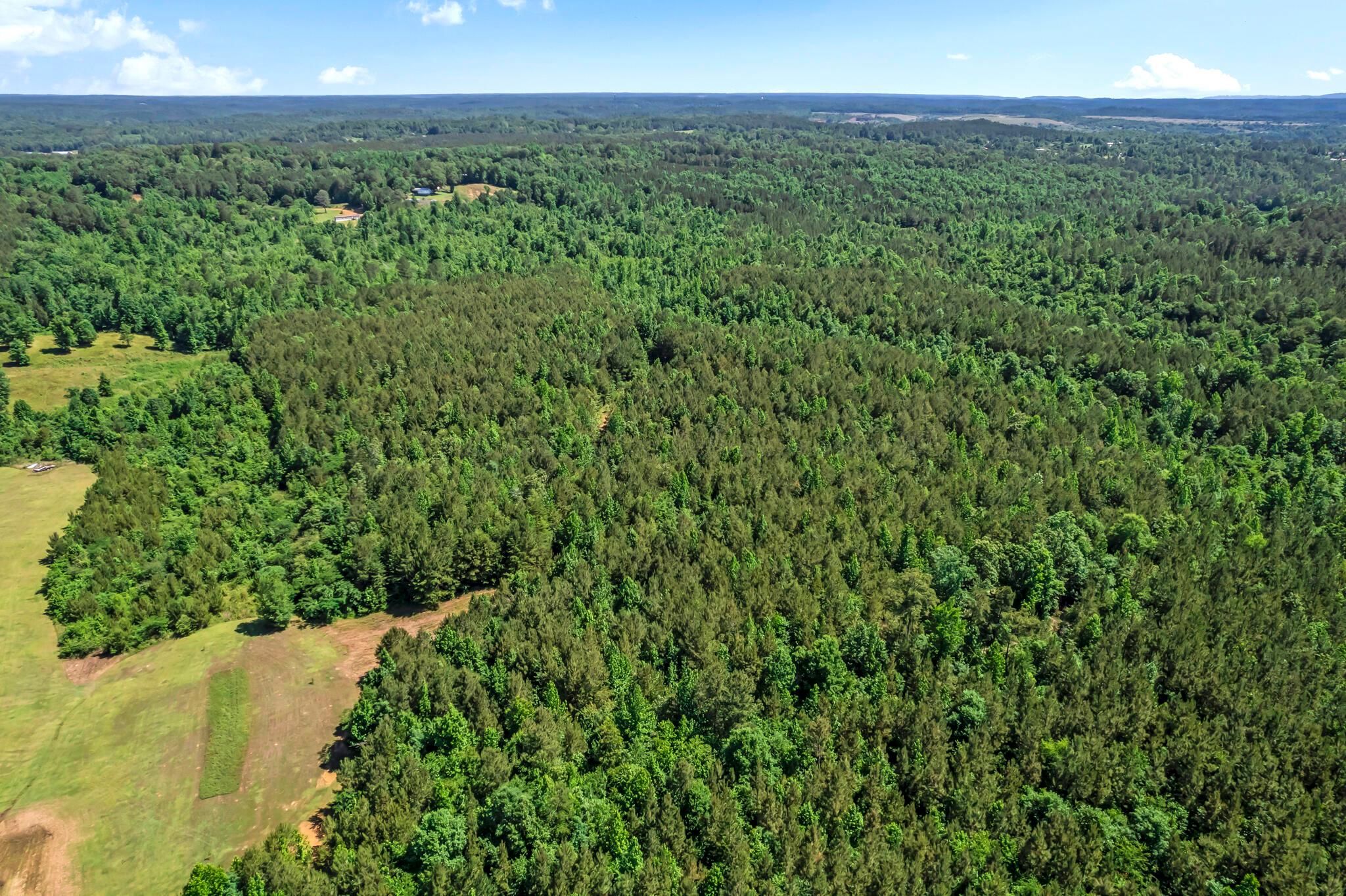 1939 Mountain Road Cordova, AL 35550 - Photo 47 of 48 Gallery Image 47
