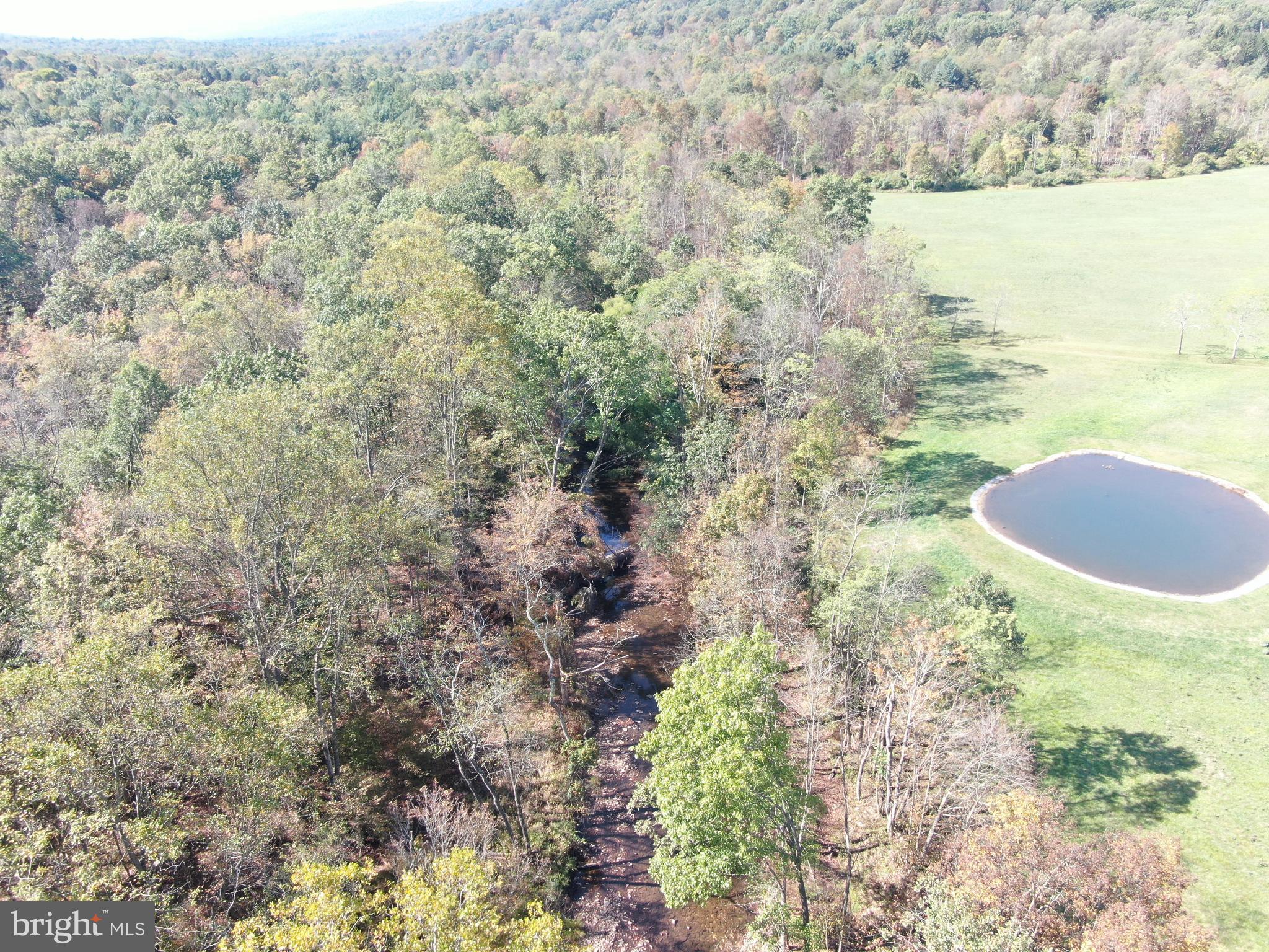 21 /- Acres At 13380 Road Upperstrasburg, PA 17265 - Photo 10 of 14