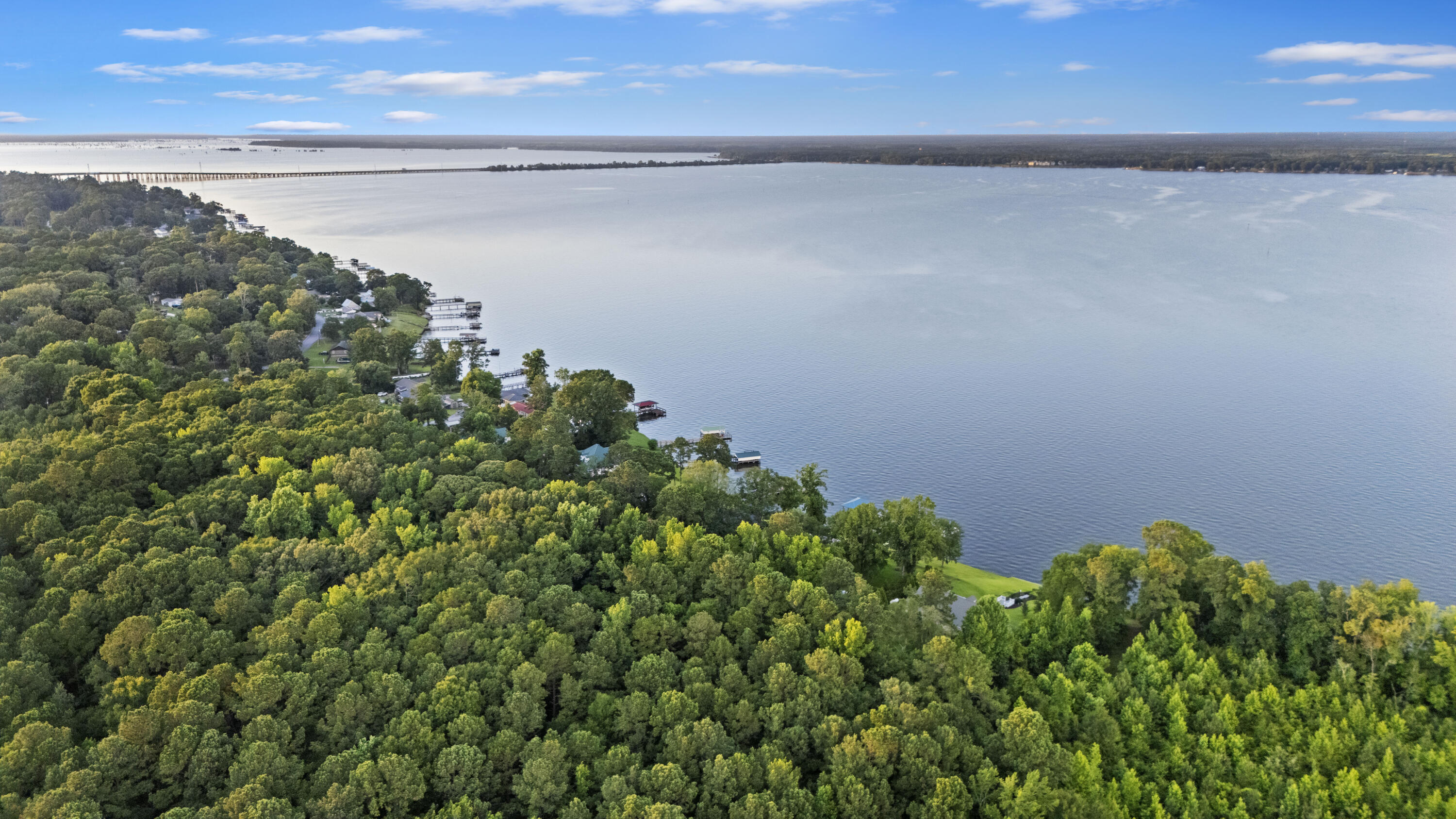 359 Green Street Santee, SC 29142 - Photo 13 of 29 DJI_20250618201056_0453_D