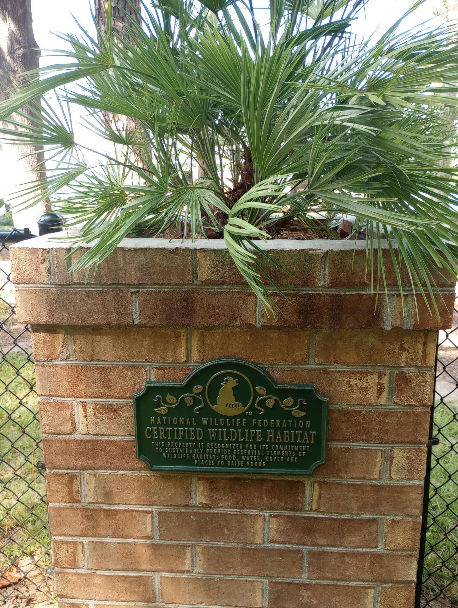 359 Green Street Santee, SC 29142 - Photo 29 of 29 1000002314