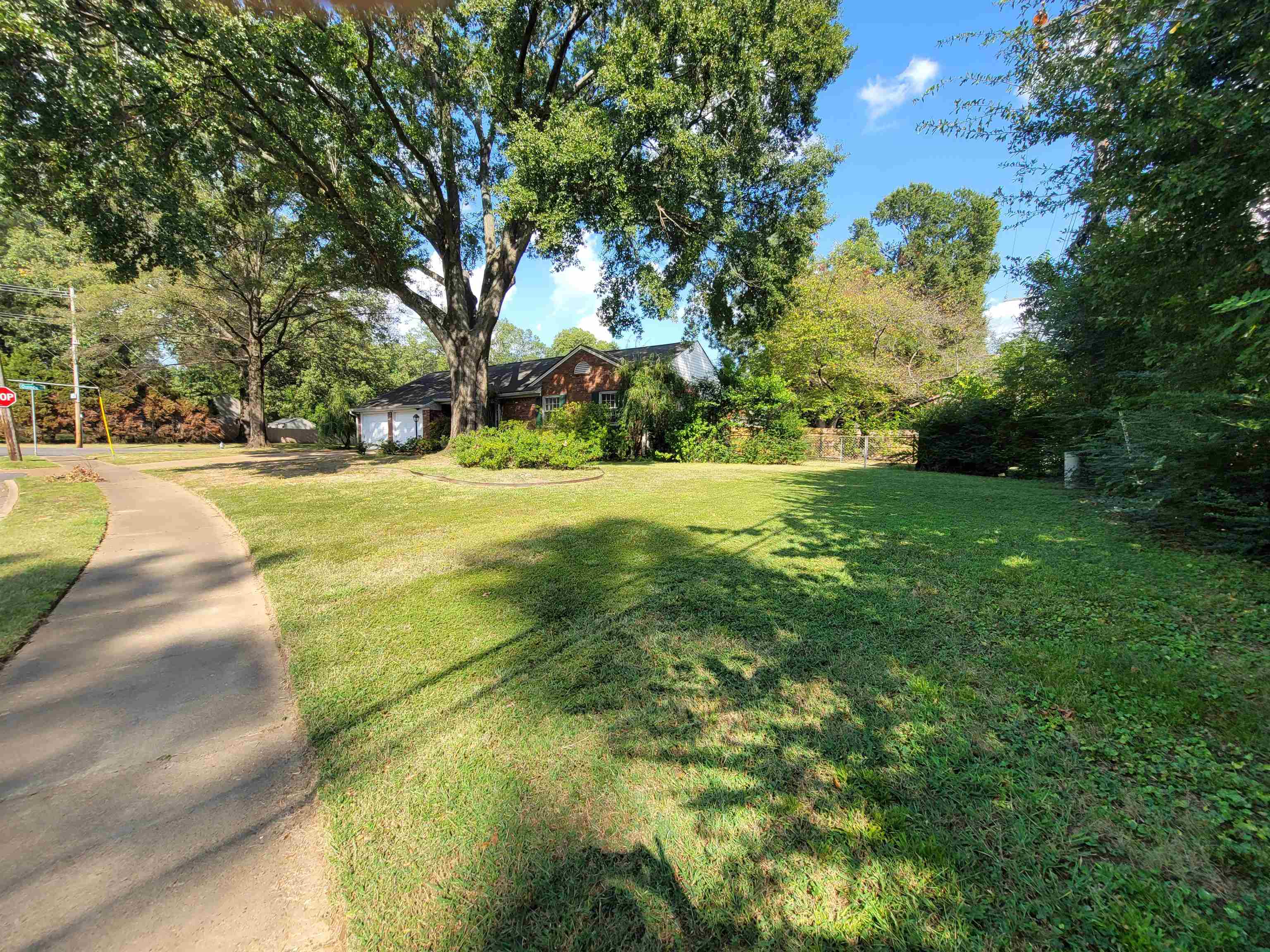 1522 Hayne Road Memphis, TN 38119 - Photo 3 of 25 a view of yard with swimming pool and green space