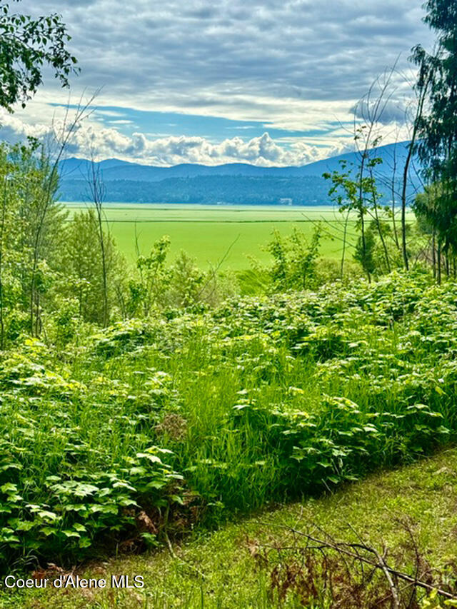 2868 Pine Island Road Bonners Ferry, ID 83805 - Photo 18 of 46 15