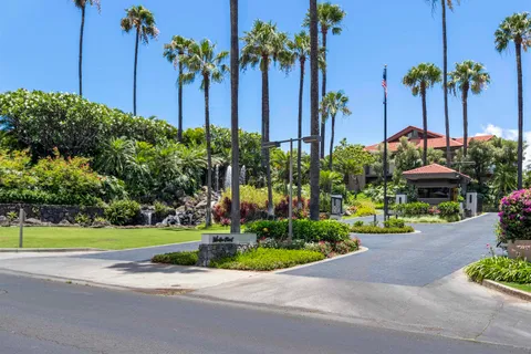 a view of a garden with palm trees