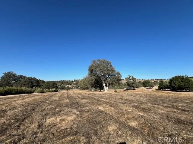 1810 Fire Rock Loop Templeton, CA 93465 - Photo 1 of 8 a view of dirt field with trees in background