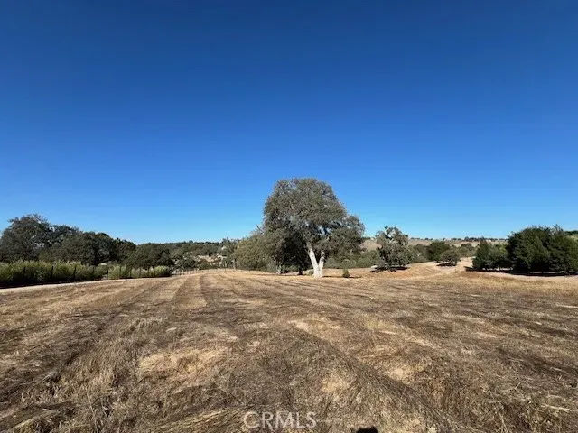 a view of dirt field with trees in background