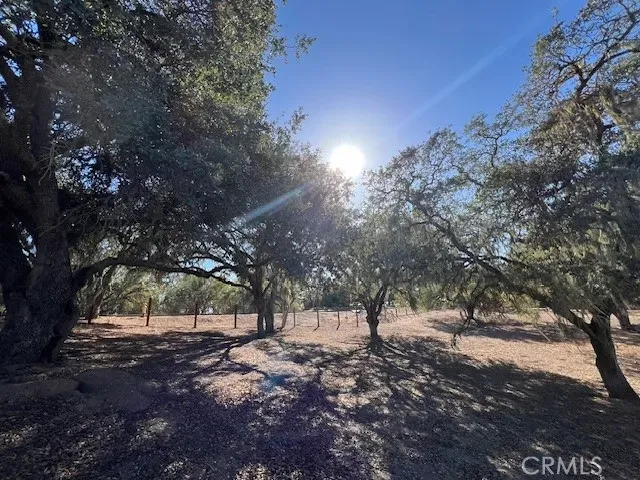 a view of outdoor space with lots of trees