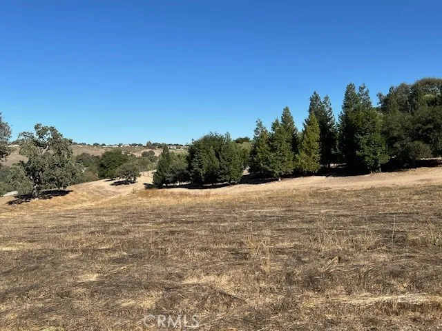 1810 Fire Rock Loop Templeton, CA 93465 - Photo 7 of 8