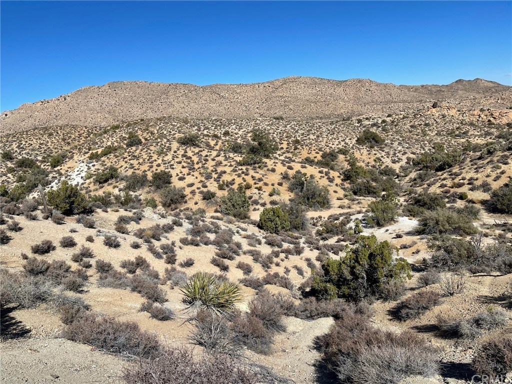 0 Jack Mar Road Landers, CA 92285 - Photo 1 of 1 Gallery Image 1