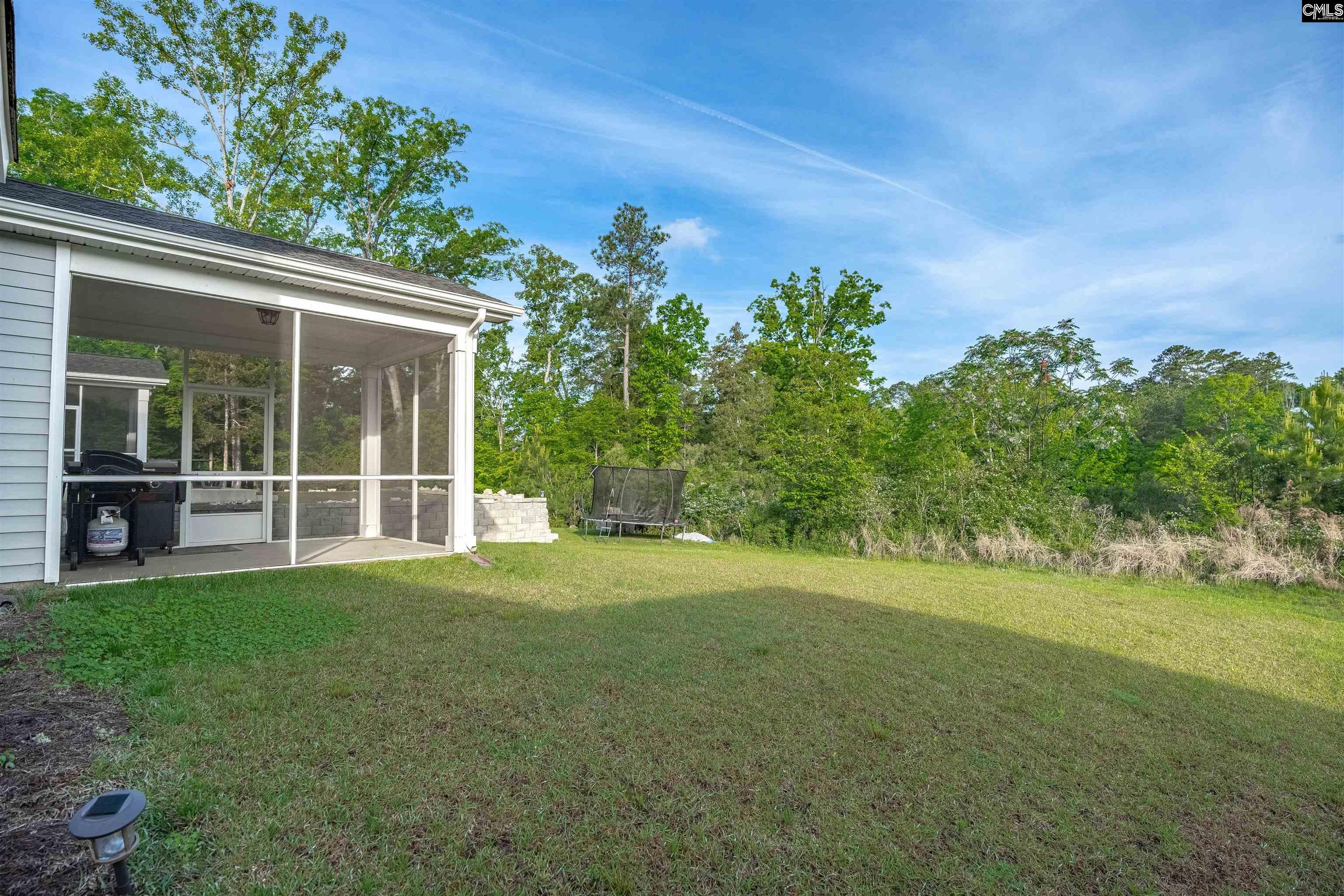 432 Thayer Street Chapin, SC 29036 - Photo 61 of 68