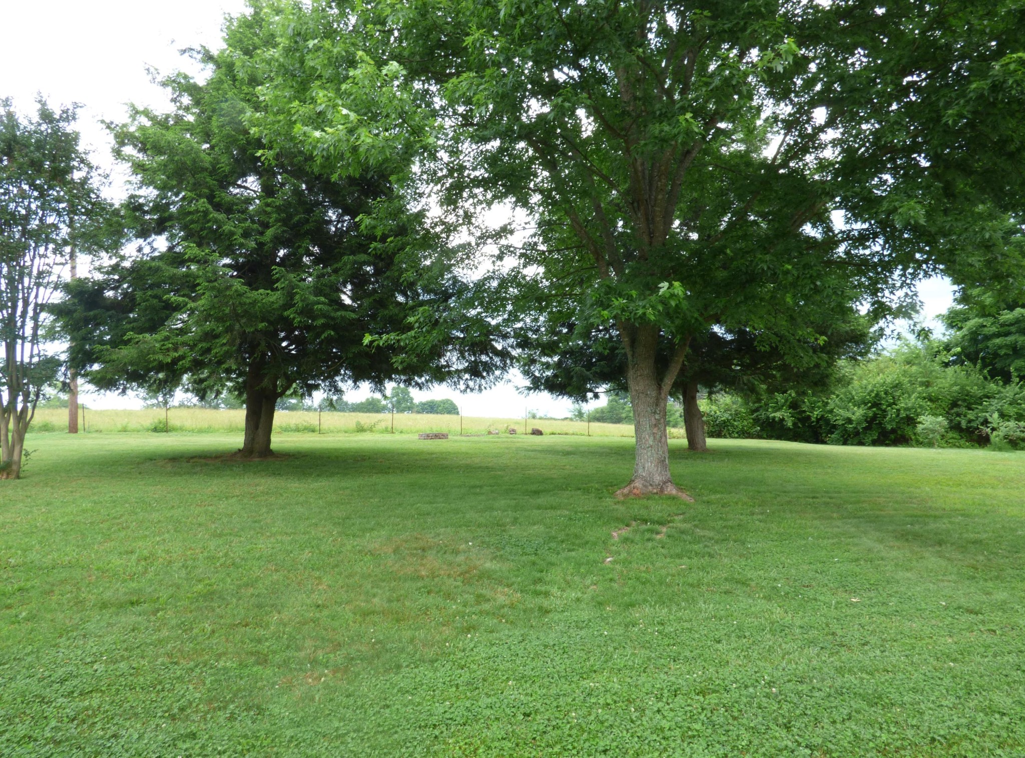 108 Dell Road Maryville, TN 37804 - Photo 23 of 23 Gallery Image 23