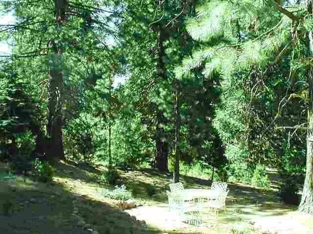 1010 Timber Ridge Road Lake Almanor, CA 96137 - Photo 8 of 8