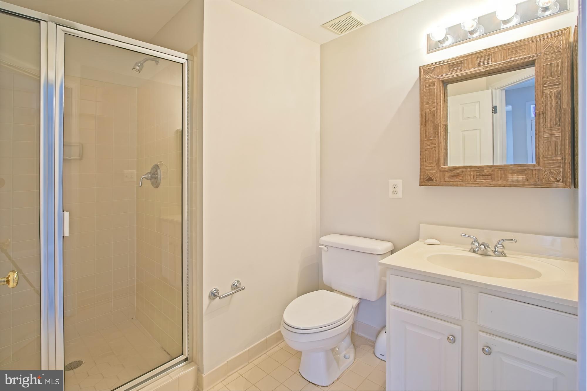 11117 Little Compton Drive Reston, VA 20191 - Photo 43 of 58 Lower level full bath with shower