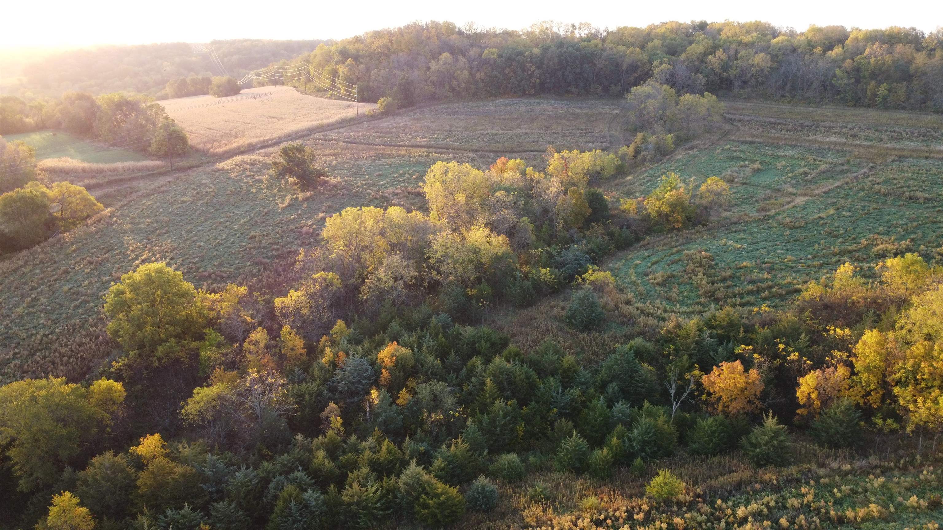 5201 South Burton Road Elizabeth, IL 61028 - Photo 24 of 93 a view of a lake in middle of forest
