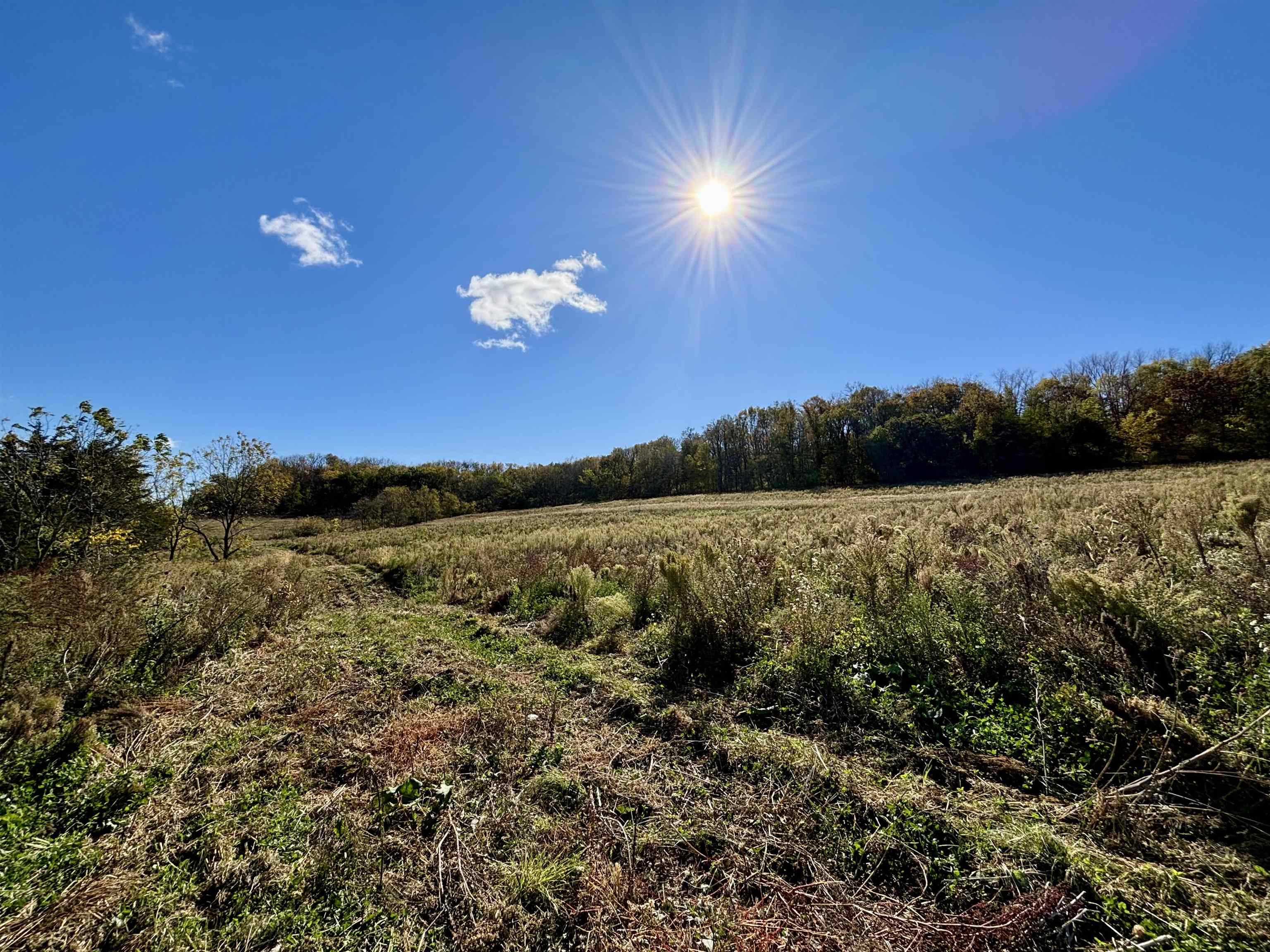5201 South Burton Road Elizabeth, IL 61028 - Photo 59 of 93