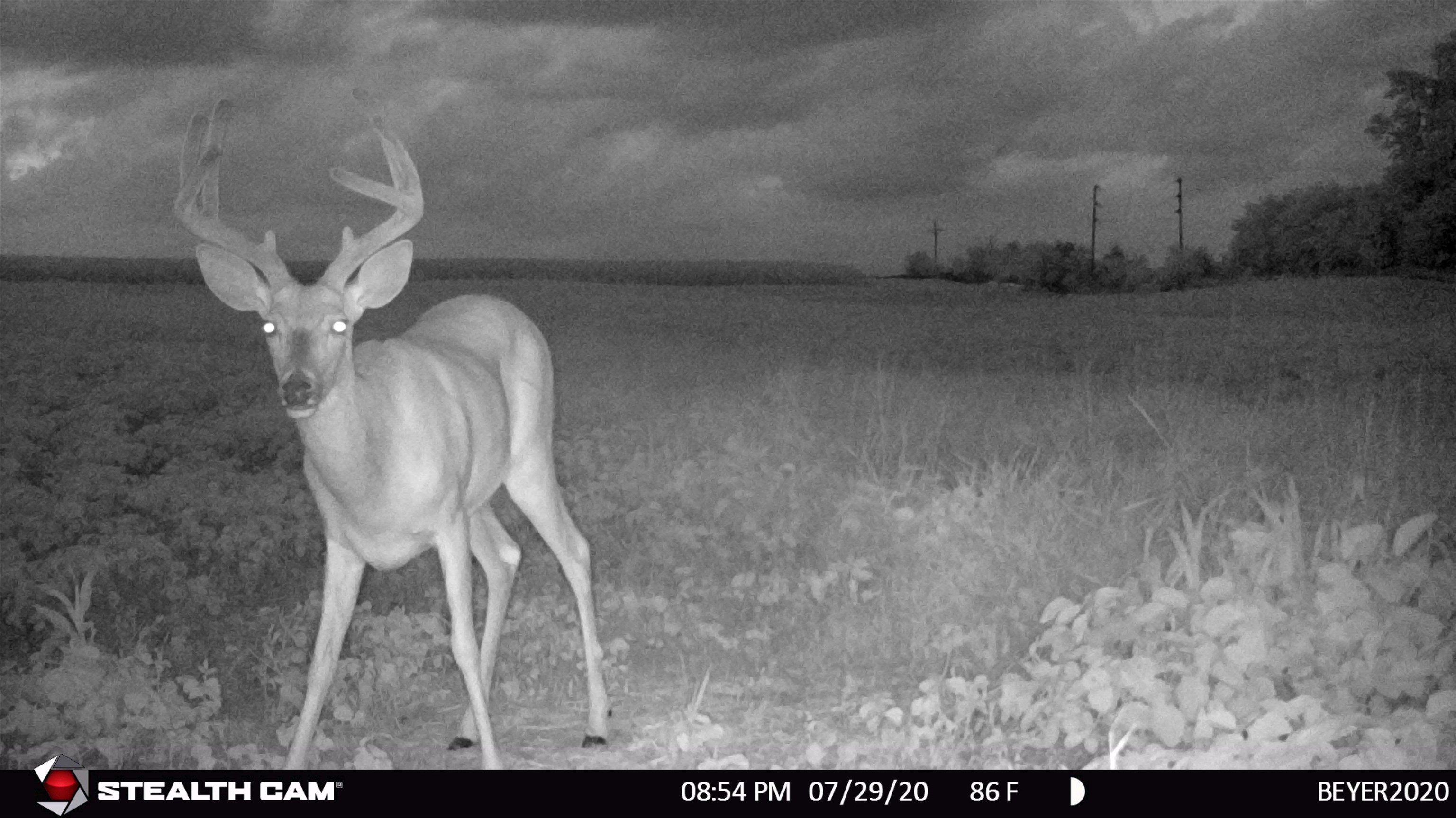 5201 South Burton Road Elizabeth, IL 61028 - Photo 88 of 93