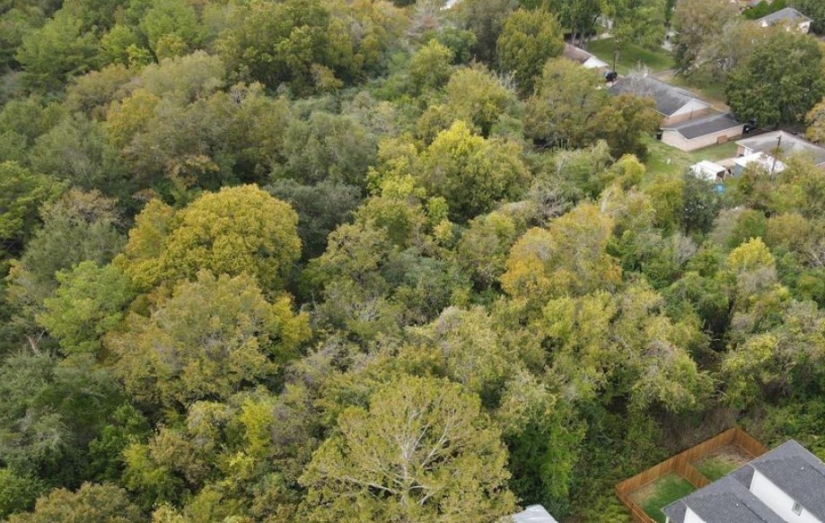 3 Washington Houston, TX 77088 - Photo 2 of 4 a view of a forest with a houses