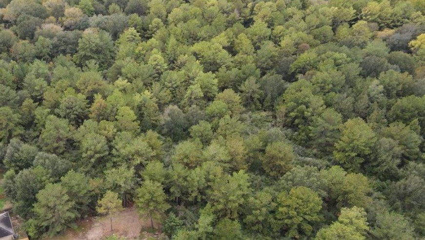 3 Washington Houston, TX 77088 - Photo 3 of 4