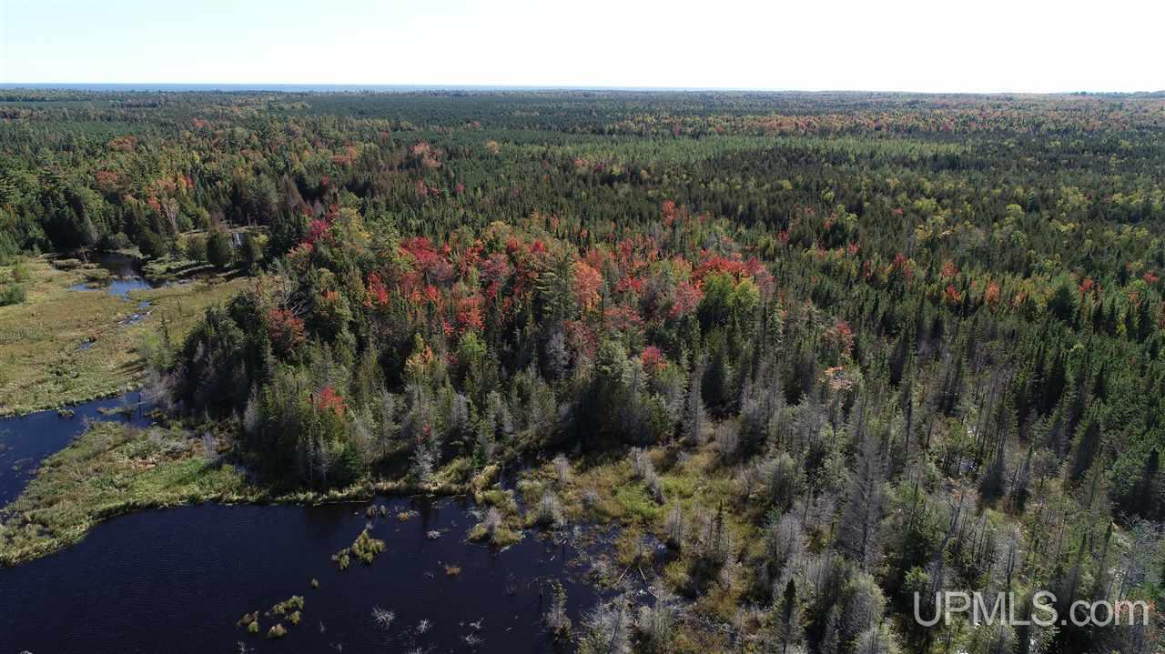 1480 Acres On Co Road Manistique, MI 49854 - Photo 39 of 49