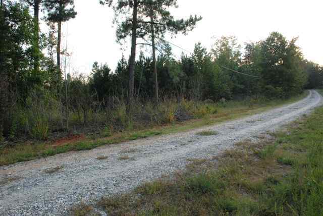 0 Ridgeway Road Woodruff, SC 29388 - Photo 1 of 9 Gallery Image 1