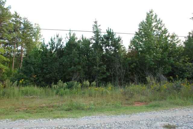 0 Ridgeway Road Woodruff, SC 29388 - Photo 3 of 9 Gallery Image 3