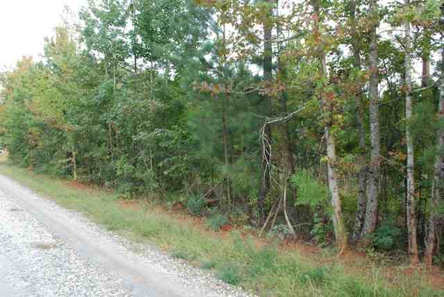 0 Ridgeway Road Woodruff, SC 29388 - Photo 5 of 9 Gallery Image 5