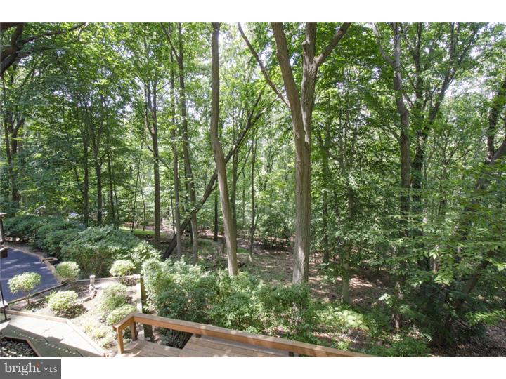 370 Danell Road Wayne, PA 19087 - Photo 15 of 25 View