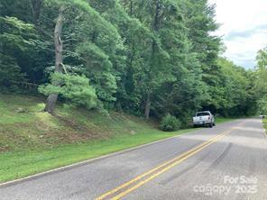 99999 Moffitt Branch Road Asheville, NC 28805 - Photo 2 of 10