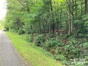 99999 Moffitt Branch Road Asheville, NC 28805 - Photo 3 of 10