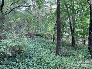 99999 Moffitt Branch Road Asheville, NC 28805 - Photo 4 of 10