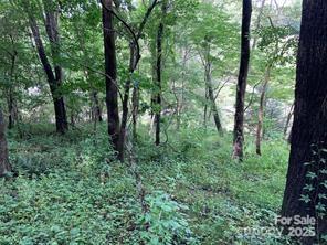 99999 Moffitt Branch Road Asheville, NC 28805 - Photo 5 of 10