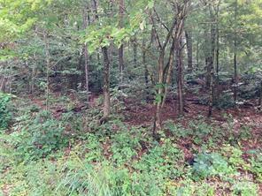 99999 Moffitt Branch Road Asheville, NC 28805 - Photo 6 of 10