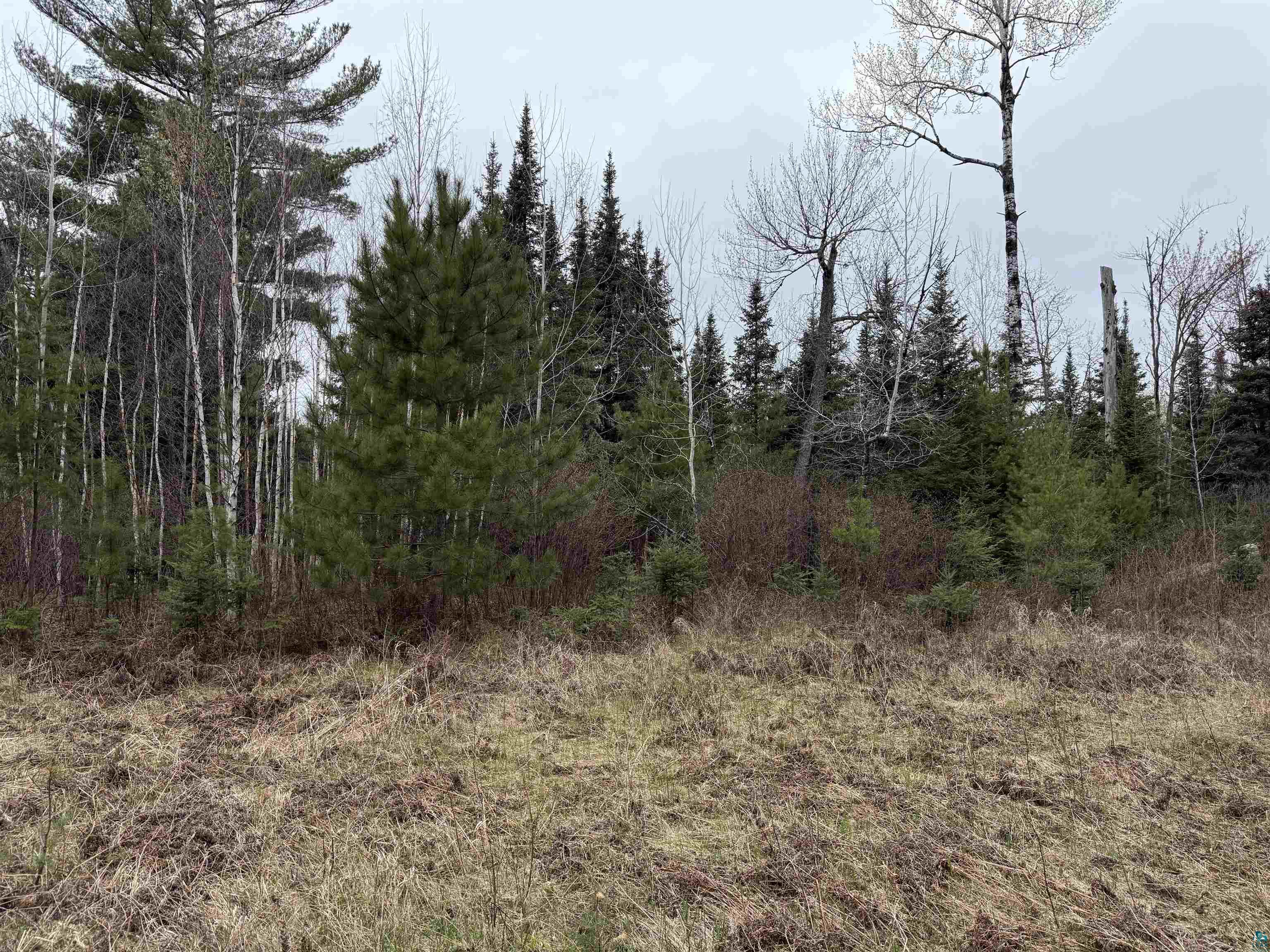 Tbd Scout Camp Road Eveleth, MN 55734 - Photo 13 of 15