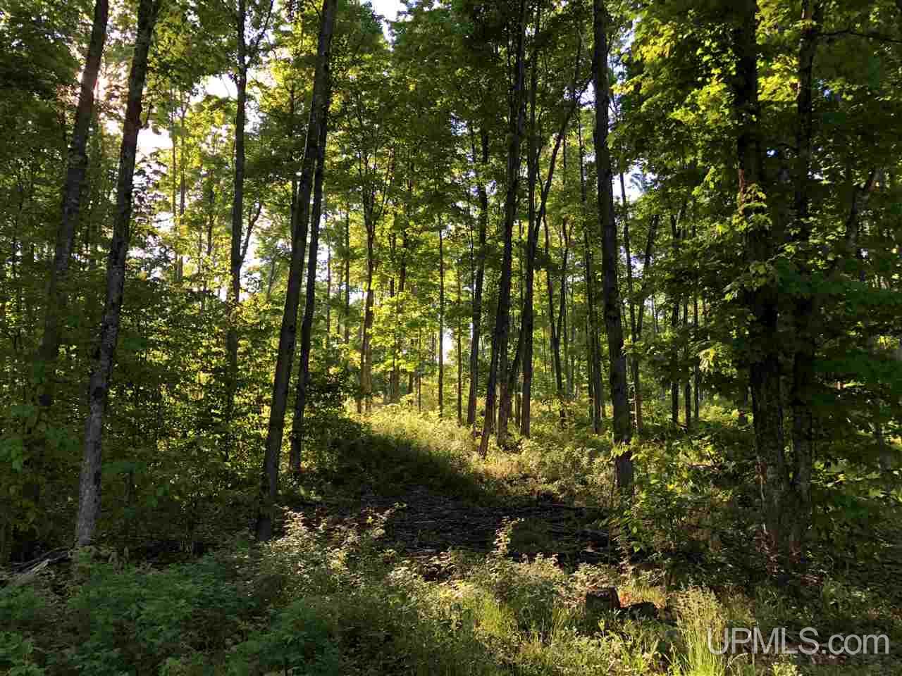 2353 Co Rd 442 Rapid River, MI 49878 - Photo 8 of 20