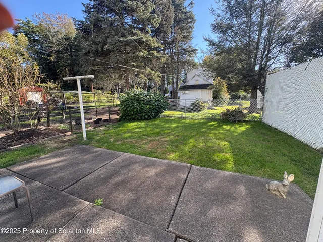 a backyard of a house with plants and large trees