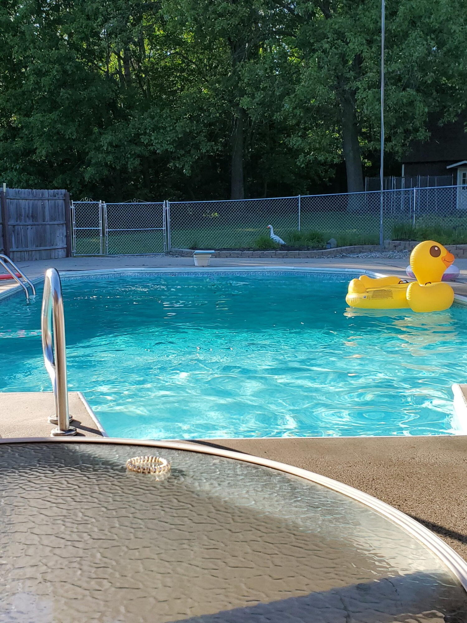 7045 17 Mile Road Northeast Cedar Springs, MI 49319 - Photo 44 of 72 IMG_20260419_131731