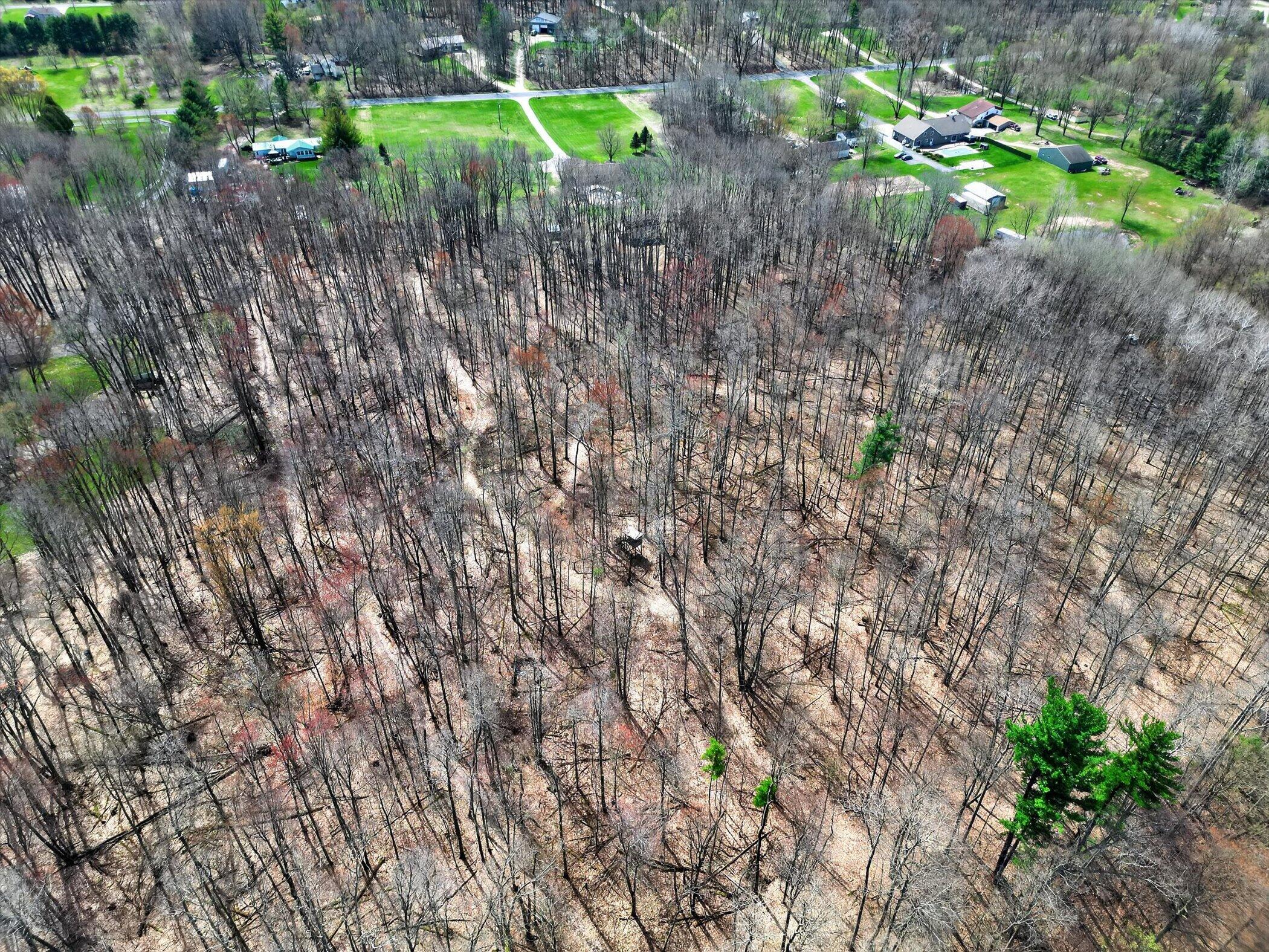 7045 17 Mile Road Northeast Cedar Springs, MI 49319 - Photo 61 of 72 69-7045-17-Mile-Rd-NE-WindowStill-Photog