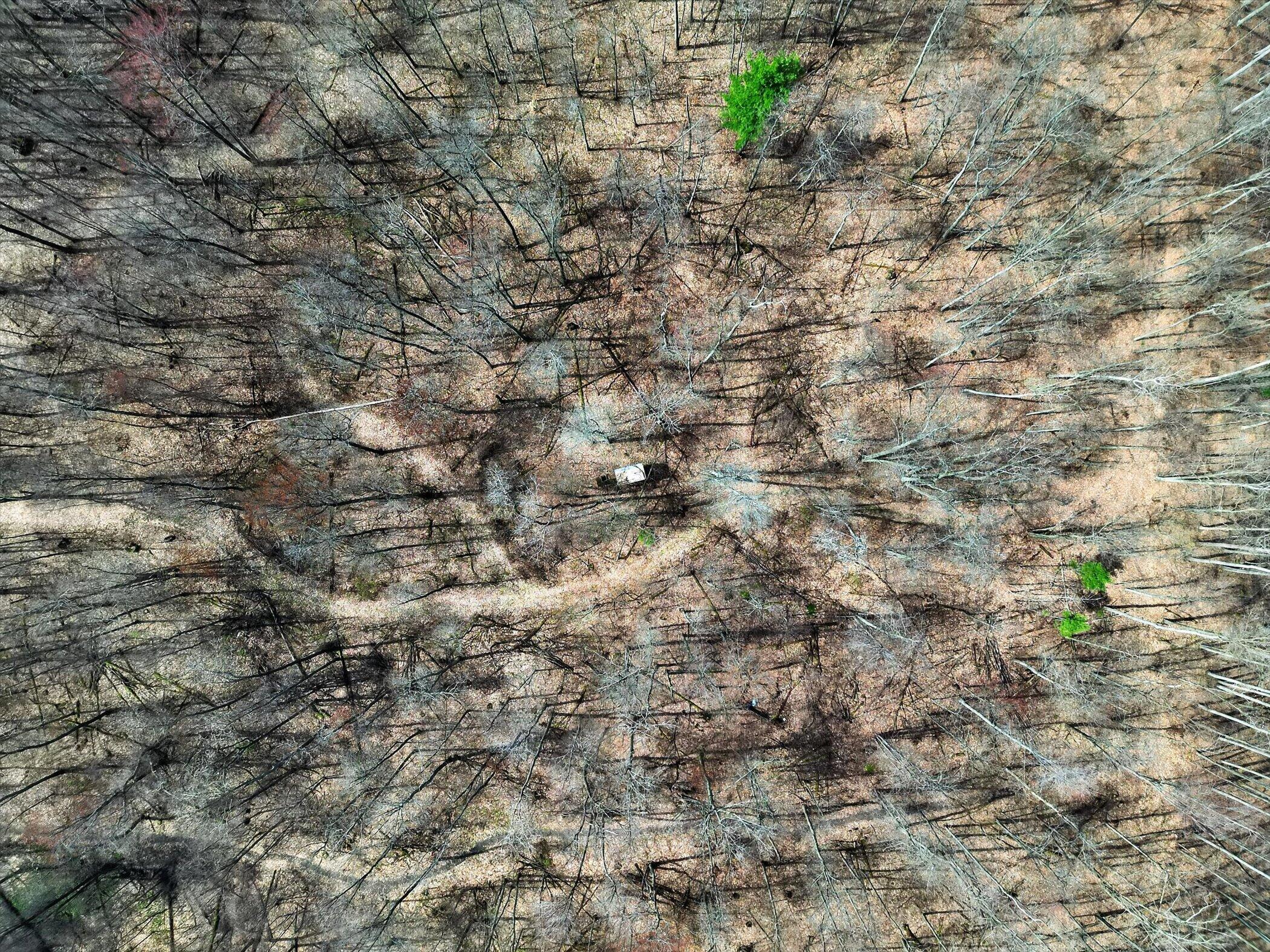 7045 17 Mile Road Northeast Cedar Springs, MI 49319 - Photo 62 of 72 70-7045-17-Mile-Rd-NE-WindowStill-Photog