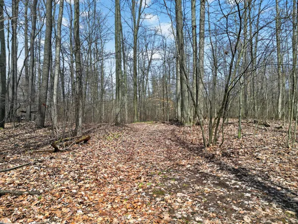 $549,900 | 7045 17 Mile Road Northeast, Cedar Springs, MI 49319