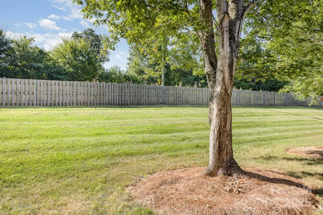a view of a patio with table and chairs and potted plants