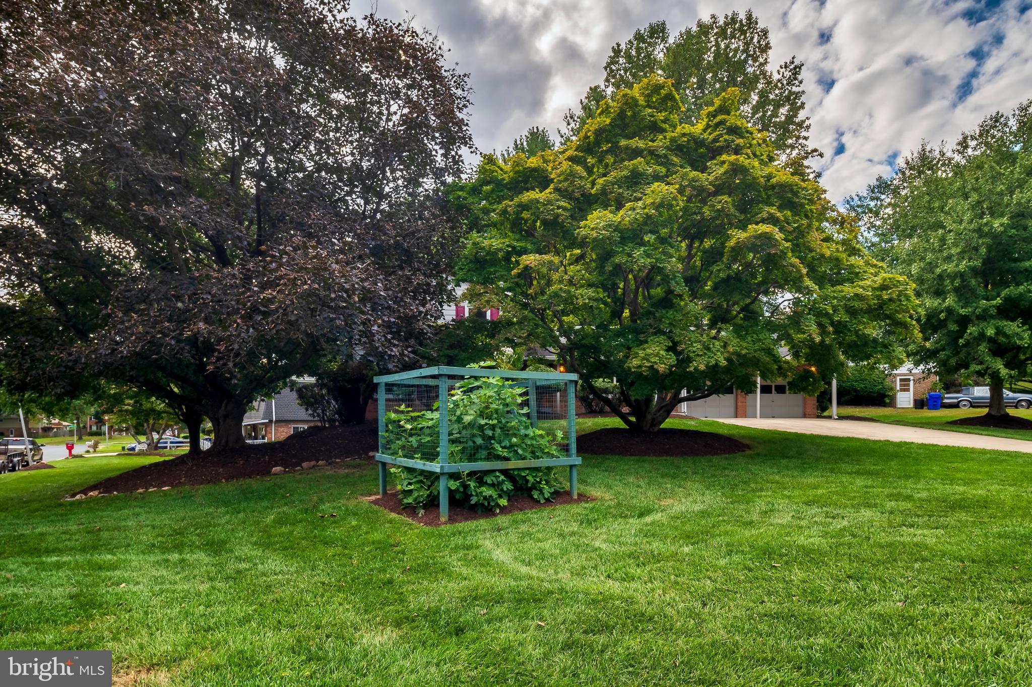 2153 Edgeware Street Silver Spring, MD 20905 - Photo 4 of 46 Front Yard
