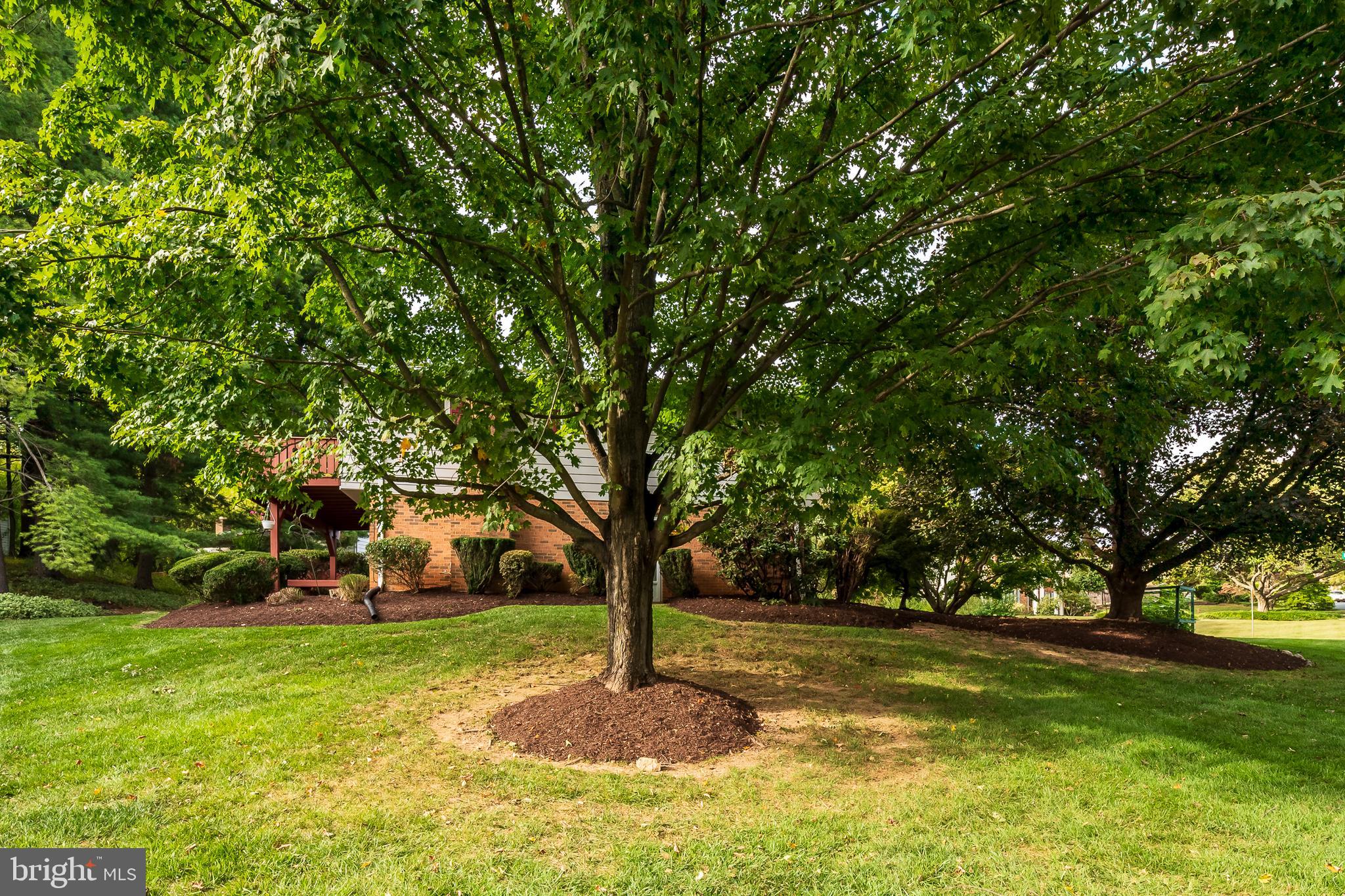 2153 Edgeware Street Silver Spring, MD 20905 - Photo 5 of 46 Side Yard