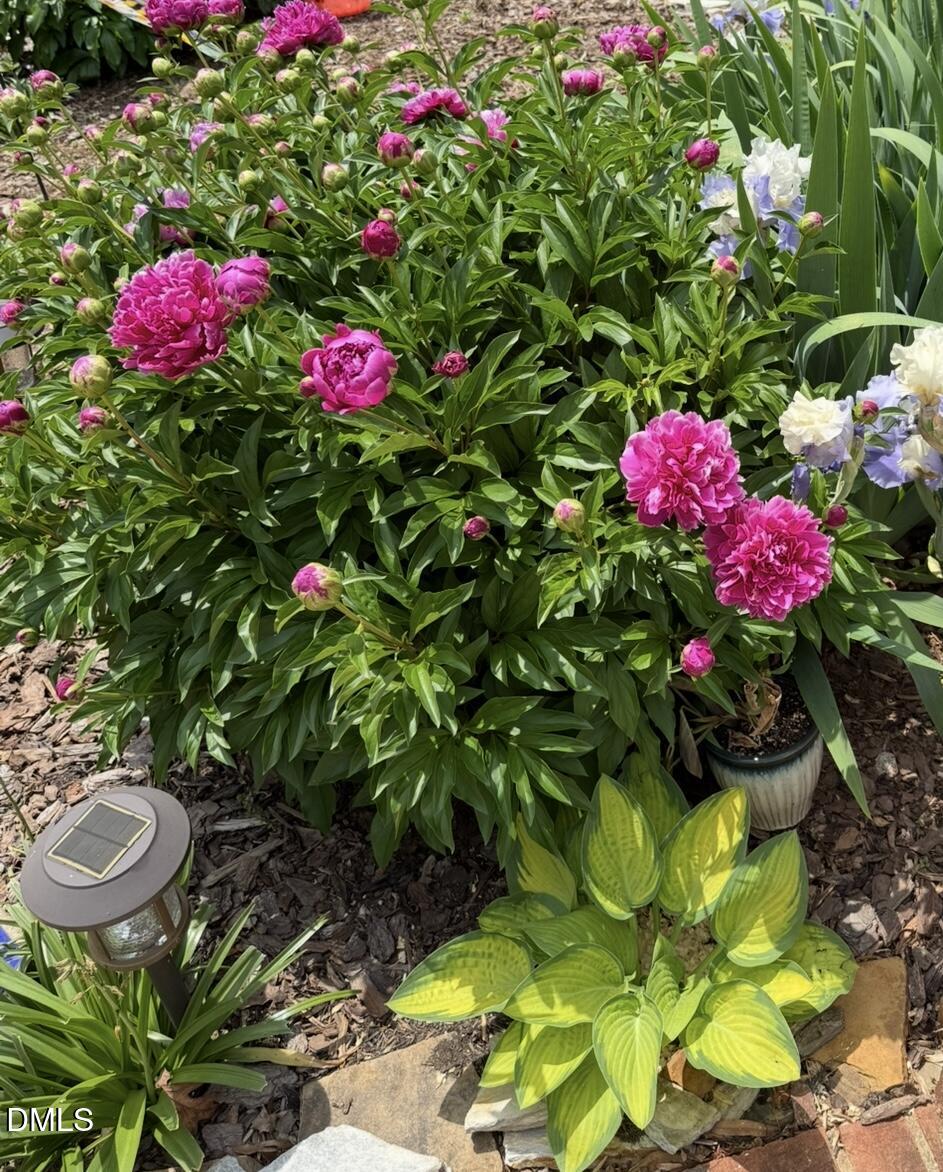 1220 Hillingdon Way Raleigh, NC 27614 - Photo 41 of 47 IMG_0140