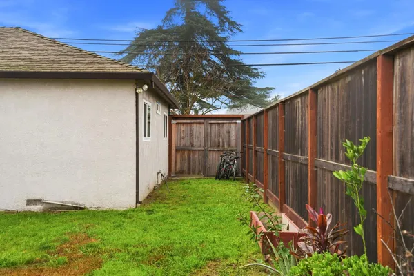 a view of a backyard with plants