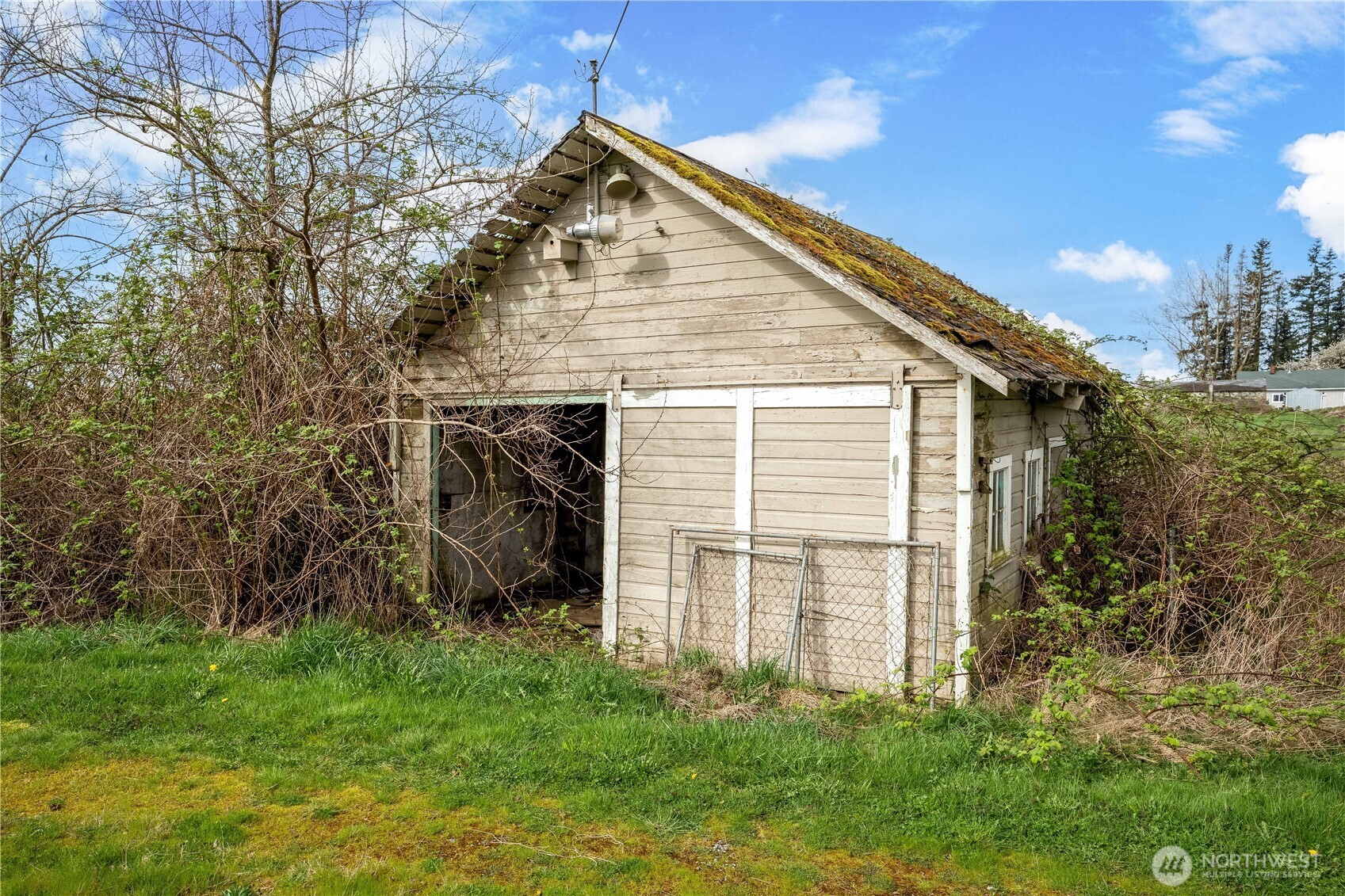 1817 Central Road Everson, WA 98247 - Photo 4 of 19