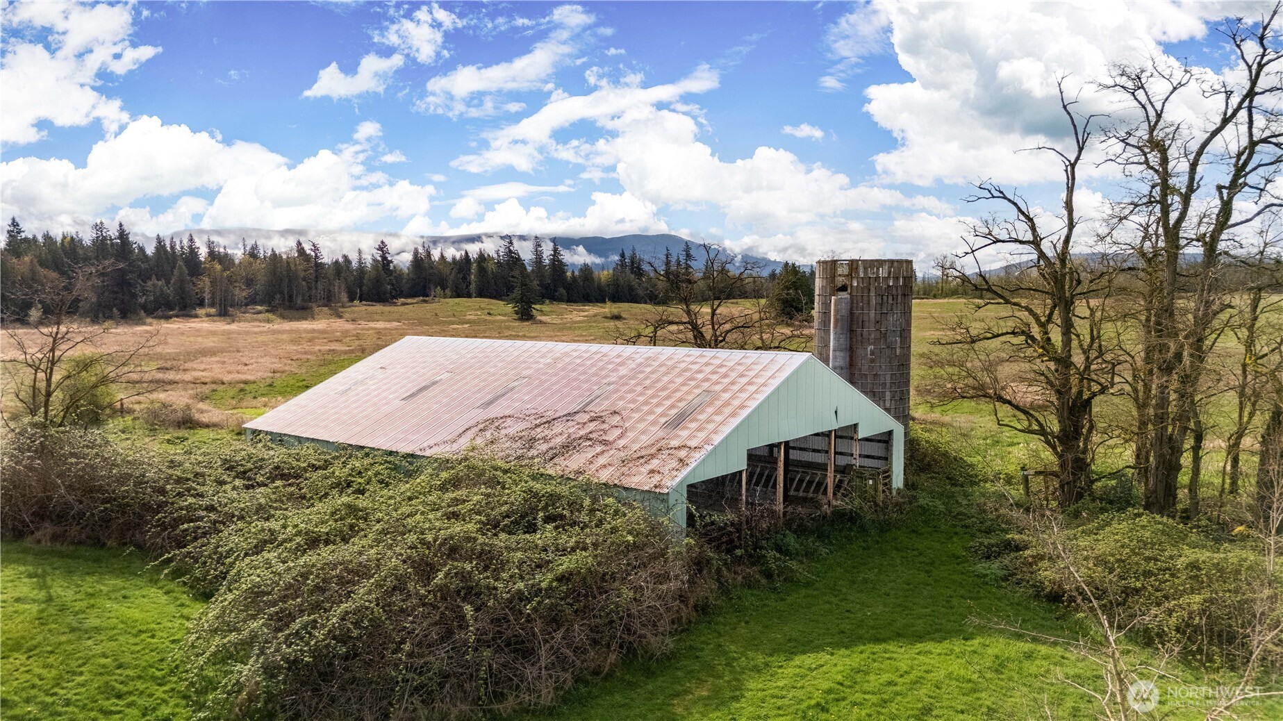 1817 Central Road Everson, WA 98247 - Photo 5 of 19