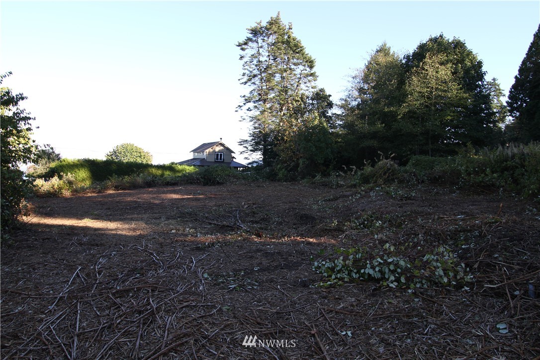 0 Wicklow Place Point Roberts, WA 98281 - Photo 2 of 13 Gallery Image 2