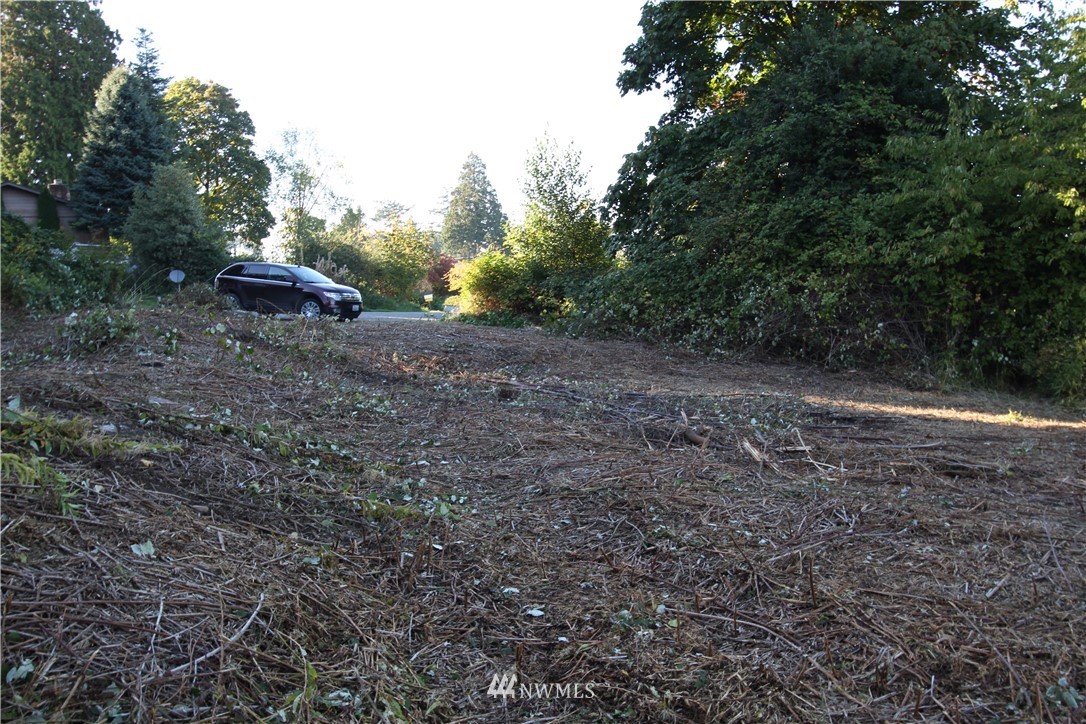 0 Wicklow Place Point Roberts, WA 98281 - Photo 3 of 13 Gallery Image 3